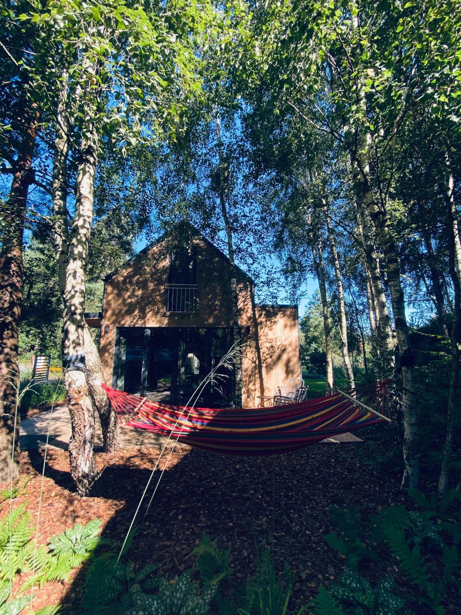 Miedzy Brzozami / Domy W Lesie Ciekocino Extérieur photo